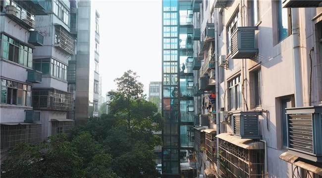 2024電梯行業(yè)新篇章：民族品牌加速趕超，LINVOL領(lǐng)沃引領(lǐng)新風(fēng)尚